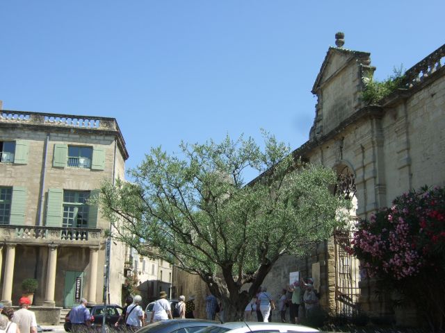 Provence12-290